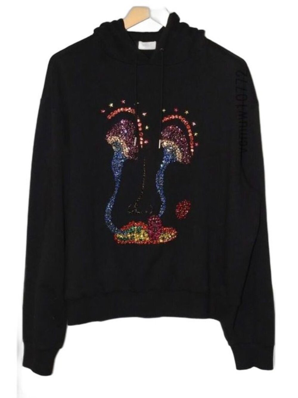 Celine Cotton Hoodie S Embroidery